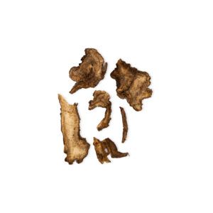 Angelica pubescens - Radix Angelicae Pubescentis - DU HUO