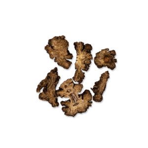 Ligusticum chuanxiong – Rhizoma Ligustici Wallichi CHUAN XIONG