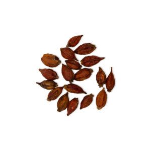 Gardenia jasminoides – Fructus Gardeniae - ZHI ZI