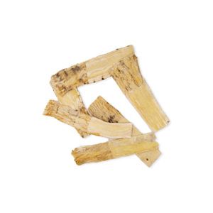 Astragalus membranaceus – Radix Astragali – HUANG QI