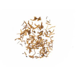 Gentiana scabra - Radix Gentianae Scabrae – LONG DAN