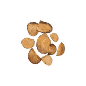 Alisma orientale – Rhizoma alismatis – ZE XIE