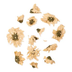 Chrysanthemum morifolium – Flos Chrysanthemi – JU HUA