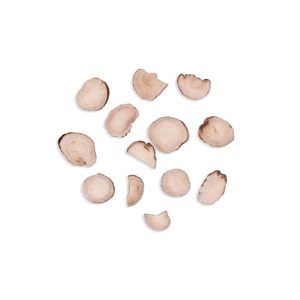 Paeonia lactiflora – Radix Paeonia Albae – BAI SHAO YAO