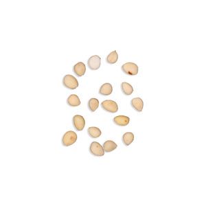 Prunus persica – Semen Pruni Persicae – TAO REN