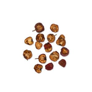 Crataegus cuneata – Fructus Crataegi – SHAN ZHA