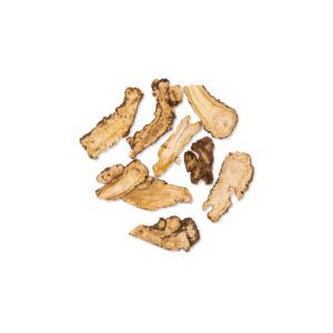 Angelica sinensis – Radix Agelicae – DANG GUI