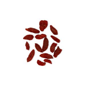 Lycium barbarum – Fructus Lycii – GOU QI ZI